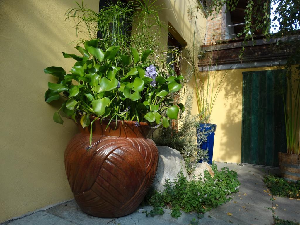 Agriturismo Casa De Colores Moretta Buitenkant foto