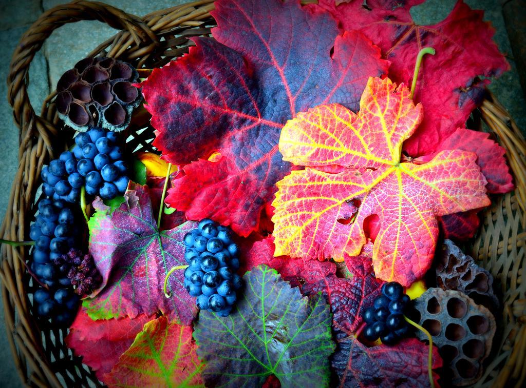 Agriturismo Casa De Colores Moretta Buitenkant foto