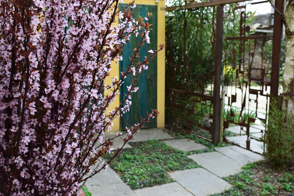 Agriturismo Casa De Colores Moretta Buitenkant foto